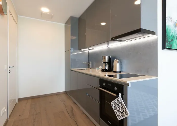 Lootsi Penthouse 公寓 *