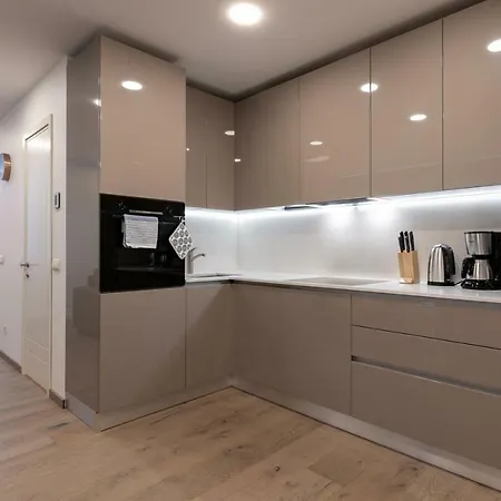 Lootsi Penthouse Apartment