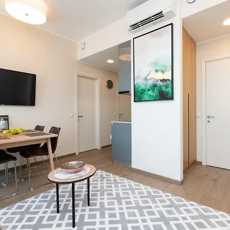 Lootsi Penthouse Apartment