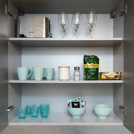 Lootsi Penthouse 公寓 *