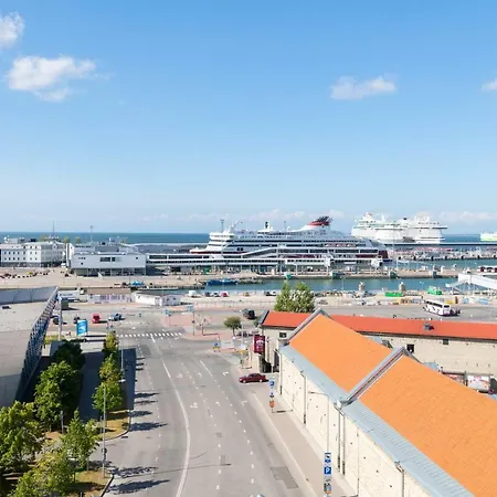 公寓 Lootsi Penthouse *