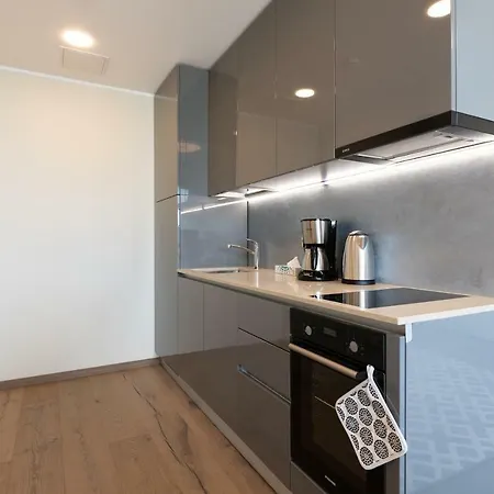 Lootsi Penthouse 公寓 *