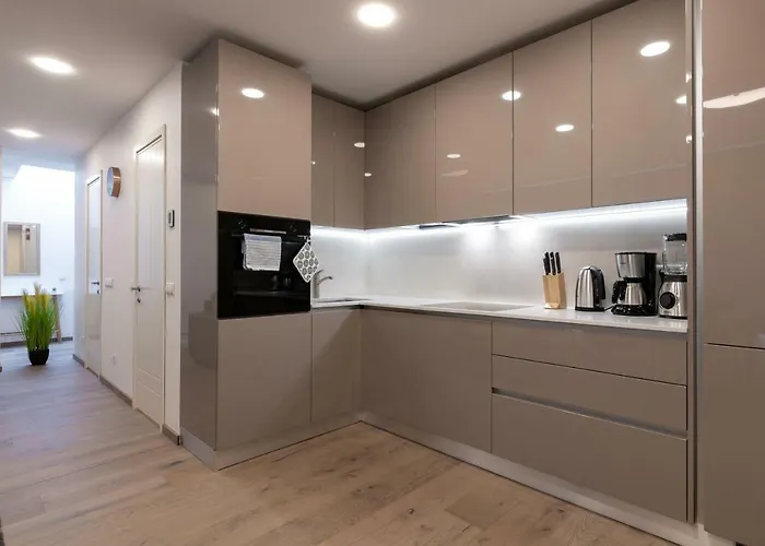 Lootsi Penthouse Apartment